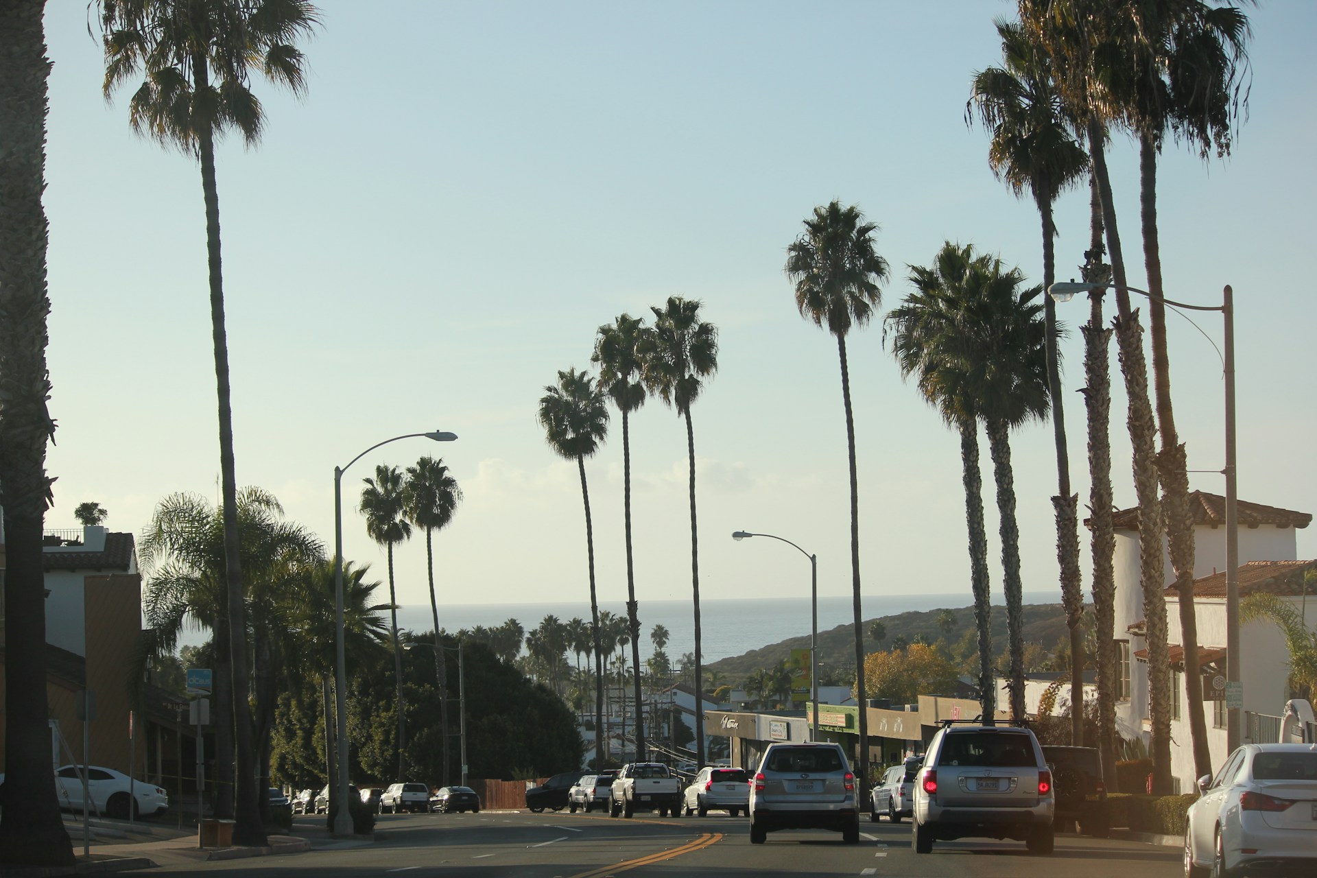 Los Angeles street view near TALA Associates office showing palm trees and urban landscape